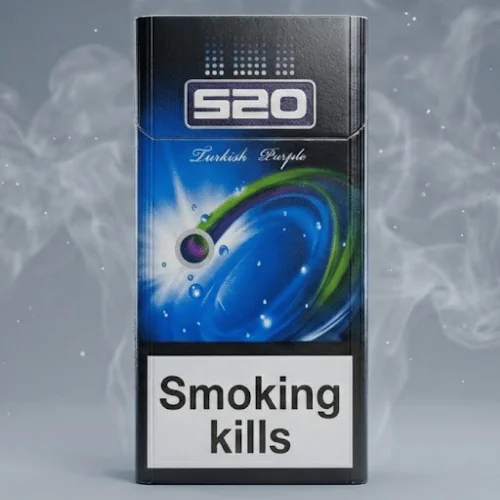520 Kalpli Sigara 2 Ways Purple - Mentol Böğürtlen