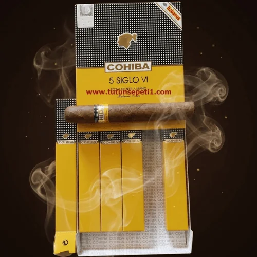 Cohiba Aniversario 5 Siglo - 5's Gift Pack DOMİNİC