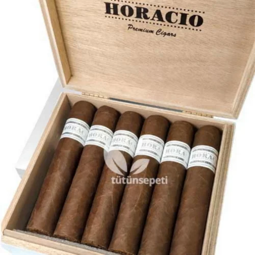 Horacio Bolosos Puro Satın Al - 12's Ahşap kutu - 2