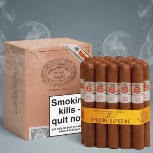 Hoyo de Monterrey Epicure Especial Puro 25's FREESHOP