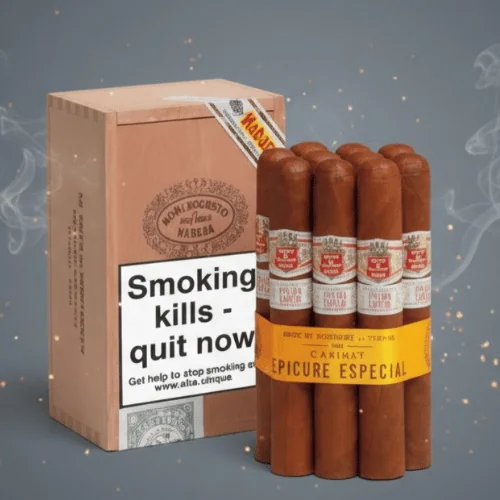 Hoyo de Monterrey Epicure Especial Tubo Puro 10's FREESHOP