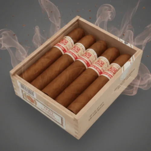 Hoyo de Monterrey Le Hoyo de Río Seco Tobo Puro 10's FREESHOP