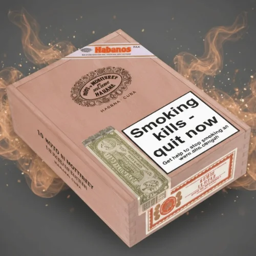 Hoyo de MonterreyLe Hoyo de San Juan Puro 10's FREESHOP