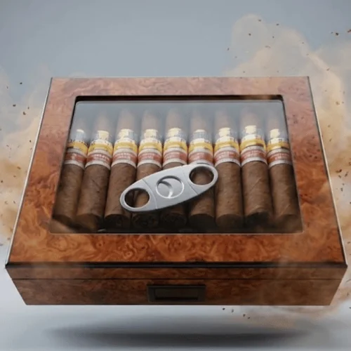 Lubinski Humidor + Cohiba Exclusivo Suiza Puro seti