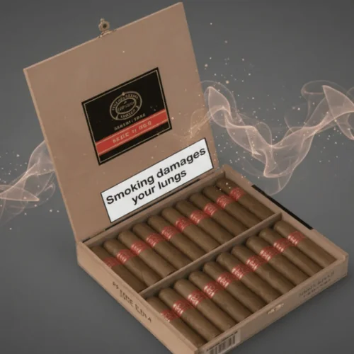Partagas Serie D No. 6 Puro Tubo 20's FREESHOP