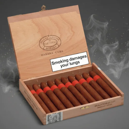 Partagas Serie P No.2 25's FREESHOP