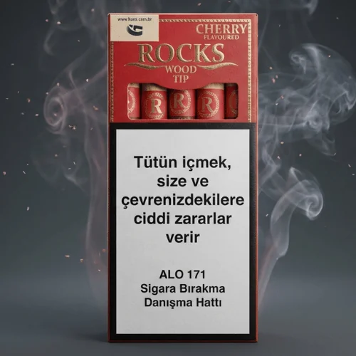 Rocks Wood Tip Puro - Kiraz Aromalı