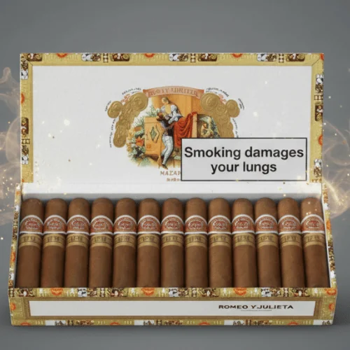 Romeo Y Julieta Petit Churchills Puro 25's FREESHOP