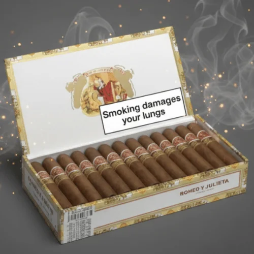 Romeo Y Julieta Wide Churchills Puro 25's FREESHOP