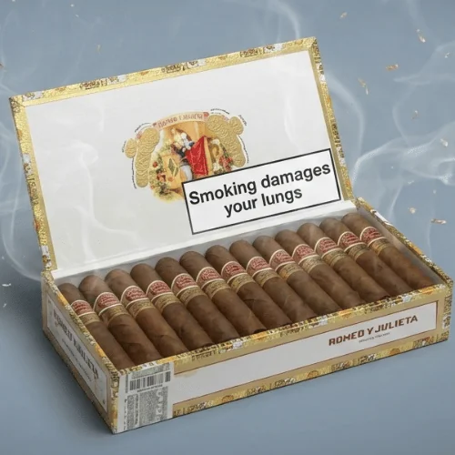 Romeo Y Julieta Wide Churchills Tubo Puro 10's FREESHOP
