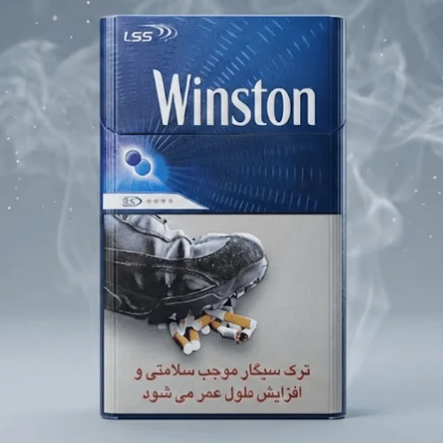 Winston Expand Duo Sigara - Mentol ve Böğürtlen - DUBAI