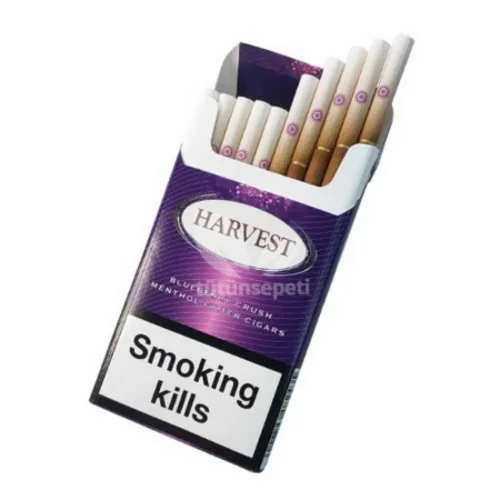 Harvest Blueberry Crush Superslim sigara - Yabanmersini aromalı - 2