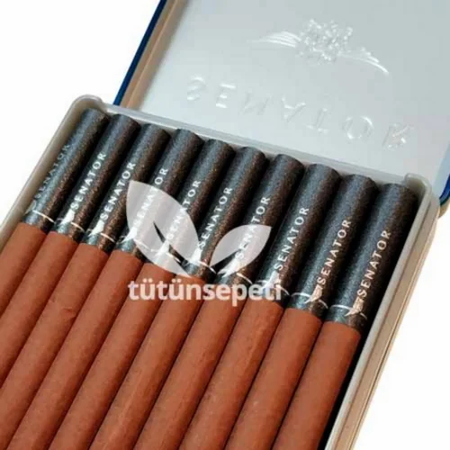 Senator Special Winegrape - Şarap Üzümü Aromalı - Metal Kutu - 2