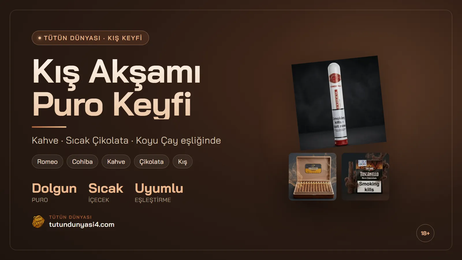 Kış Akşamları İçin Puro ve Sıcak İçecek Eşleşmeleri